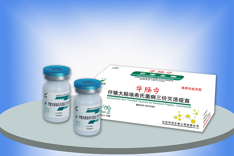 仔豬大腸埃希氏菌三價(jià)滅活疫苗