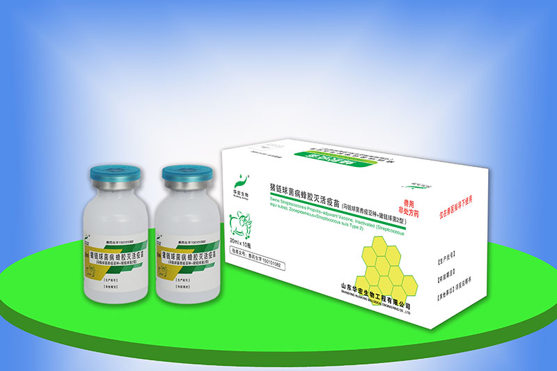 豬鏈球菌病蜂膠滅活疫苗（馬鏈球菌獸疫亞種+豬鏈球2型）