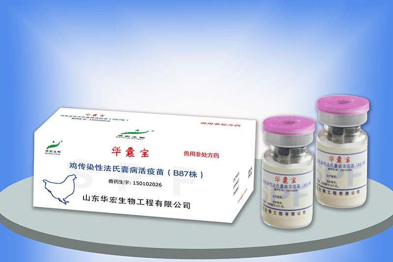 雞傳染性法氏囊病活疫苗（B87株）