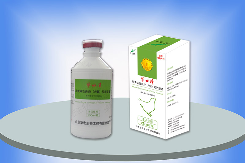 雞傳染性鼻炎滅活疫苗（A型）